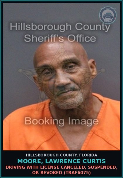 CCW arrest card for MOORE, LAWRENCE CURTIS in Hillsborough County: DRIVING WITH LICENSE CANCELED, SUSPENDED, OR REVOKED (TRAF6075)