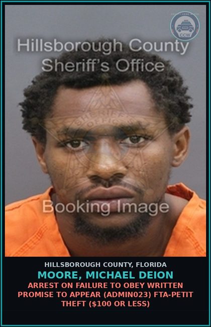 CCW arrest card for MOORE, MICHAEL DEION in Hillsborough County: ARREST ON FAILURE TO OBEY WRITTEN PROMISE TO APPEAR (ADMIN023) FTA-PETIT THEFT ($100 OR LESS)