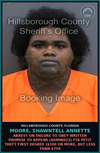 CCW arrest card for MOORE, SHAWNTELL ANNETTE in Hillsborough County: ARREST ON FAILURE TO OBEY WRITTEN PROMISE TO APPEAR (ADMIN023) FTA PETIT THEFT FIRST DEGREE ($100 OR MORE, BUT LESS THAN $750
