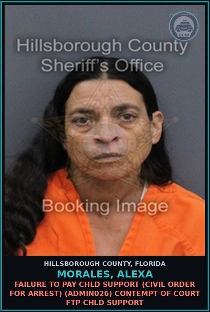 CCW arrest card for MORALES, ALEXA in Hillsborough County: FAILURE TO PAY chld SUPPORT (CIVIL ORDER FOR ARREST) (ADMIN026) CONTEMPT OF COURT FTP chld SUPPORT