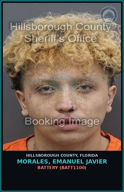 CCW arrest card for MORALES, EMANUEL JAVIER in Hillsborough County: BATTERY (BATT1100)