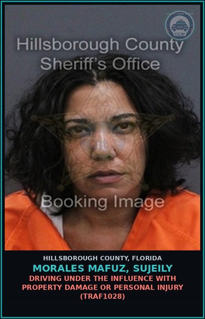 CCW arrest card for MORALES MAFUZ, SUJEILY in Hillsborough County: DRIVING UNDER THE INFLUENCE WITH PROPERTY DAMAGE OR PERSONAL INJURY (TRAF1028)