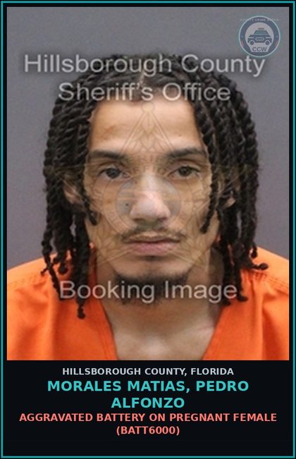 CCW arrest card for MORALES MATIAS, PEDRO ALFONZO in Hillsborough County: AGGRAVATED BATTERY ON PREGNANT FEMALE (BATT6000)