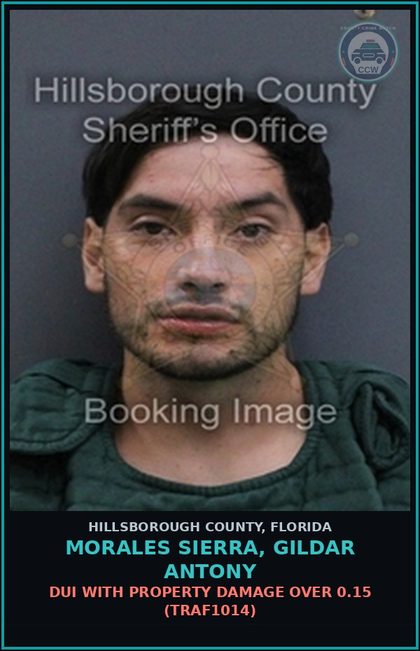 CCW arrest card for MORALES SIERRA, GILDAR ANTONY in Hillsborough County: DUI WITH PROPERTY DAMAGE OVER 0.15 (TRAF1014)