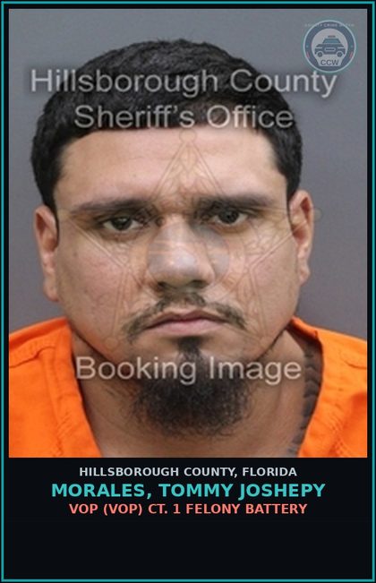 CCW arrest card for MORALES, TOMMY JOSHEPY in Hillsborough County: VOP (VOP) CT. 1 FELONY BATTERY