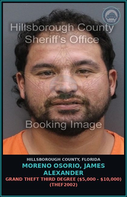CCW arrest card for MORENO OSORIO, JAMES ALEXANDER in Hillsborough County: GRAND THEFT THIRD DEGREE ($5,000 - $10,000) (THEF2002)
