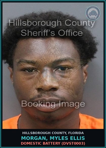 CCW arrest card for MORGAN, MYLES ELLIS in Hillsborough County: DOMESTIC BATTERY (DVST0003)