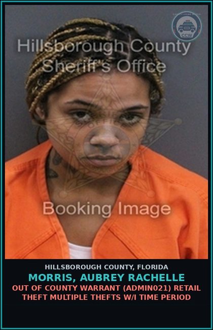 CCW arrest card for MORRIS, AUBREY RACHELLE in Hillsborough County: OUT OF COUNTY WARRANT (ADMIN021) RETAIL THEFT MULTIPLE THEFTS W/I TIME PERIOD