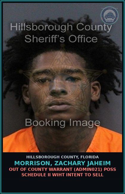 CCW arrest card for MORRISON, ZACHARY JAHEIM in Hillsborough County: OUT OF COUNTY WARRANT (ADMIN021) POSS SCHEDULE II WIHT INTENT TO SELL