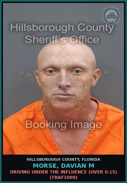 CCW arrest card for MORSE, DAVIAN M in Hillsborough County: DRIVING UNDER THE INFLUENCE (OVER 0.15) (TRAF1009)
