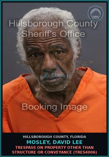CCW arrest card for MOSLEY, DAVID LEE in Hillsborough County: TPORD 14-52(A) - UNLAWFUL PUBLIC URINATION OR DEFECATION (TPOR0145)