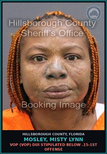 CCW arrest card for MOSLEY, MISTY LYNN in Hillsborough County: VOP (VOP) DUI STIPULATED BELOW .15-1ST OFFENSE