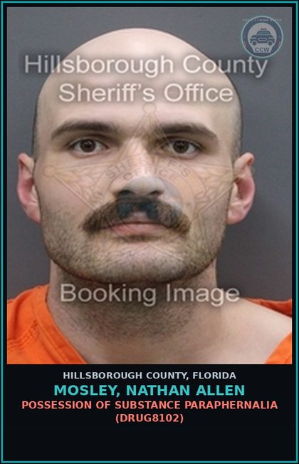 CCW arrest card for MOSLEY, NATHAN ALLEN in Hillsborough County: DRIVING WITH LICENSE CANCELED, SUSPENDED, OR REVOKED (TRAF6075)