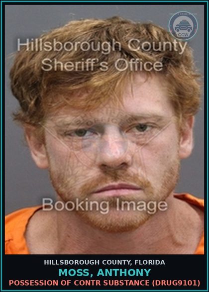 CCW arrest card for MOSS, ANTHONY in Hillsborough County: POSSESSION OF contr substance (DRUG9101)
