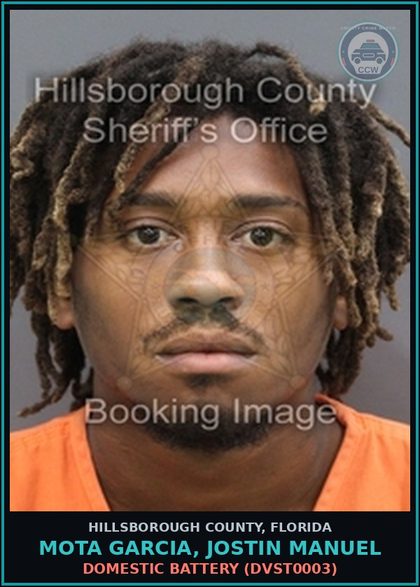CCW arrest card for MOTA GARCIA, JOSTIN MANUEL in Hillsborough County: DOMESTIC BATTERY (DVST0003)