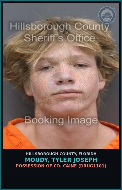 CCW arrest card for MOUDY, TYLER JOSEPH in Hillsborough County: POSSESSION OF COCAINE (DRUG1101)