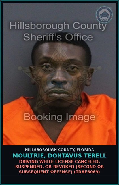 CCW arrest card for MOULTRIE, DONTAVUS TERELL in Hillsborough County: DRIVING WHILE LICENSE CANCELED, SUSPENDED, OR REVOKED (SECOND OR SUBSEQUENT OFFENSE) (TRAF6069)