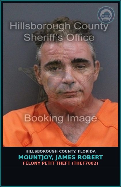 CCW arrest card for MOUNTJOY, JAMES ROBERT in Hillsborough County: FELONY PETIT THEFT (THEF7002)