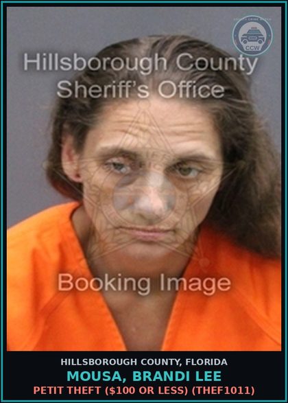 CCW arrest card for MOUSA, BRANDI LEE in Hillsborough County: PETIT THEFT ($100 OR LESS) (THEF1011)