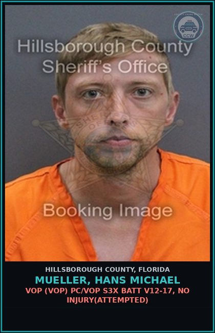CCW arrest card for MUELLER, HANS MICHAEL in Hillsborough County: VOP (VOP) PC/VOP s3x BATT V12-17, NO INJURY(ATTEMPTED)