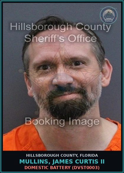 CCW arrest card for MULLINS, JAMES CURTIS II in Hillsborough County: DOMESTIC BATTERY (DVST0003)