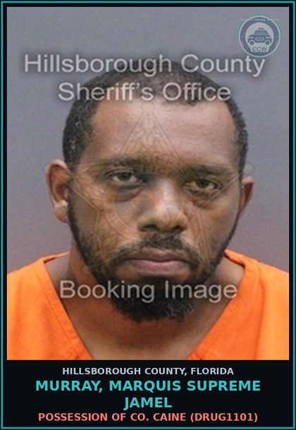 CCW arrest card for MURRAY, MARQUIS SUPREME JAMEL in Hillsborough County: POSSESSION OF COCAINE (DRUG1101)