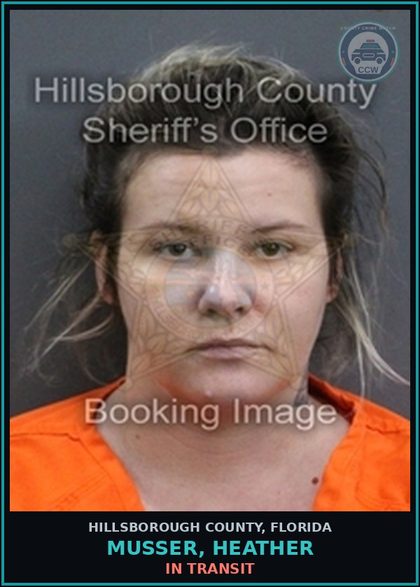 CCW arrest card for MUSSER, HEATHER in Hillsborough County: In Transit
