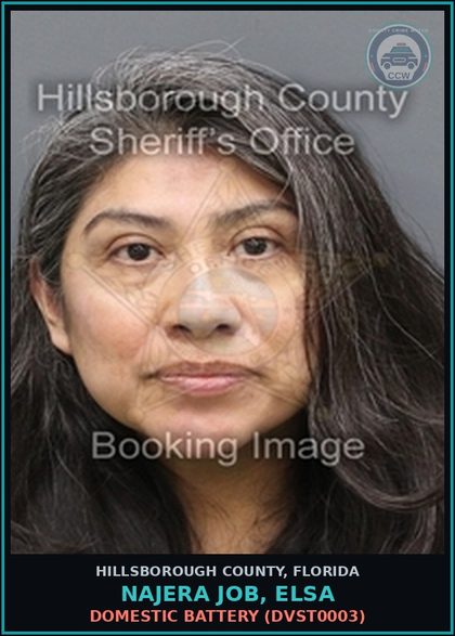 CCW arrest card for NAJERA JOB, ELSA in Hillsborough County: DOMESTIC BATTERY (DVST0003)