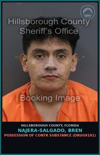 CCW arrest card for NAJERA-SALGADO, BREN in Hillsborough County: POSSESSION OF contr substance (DRUG9101)