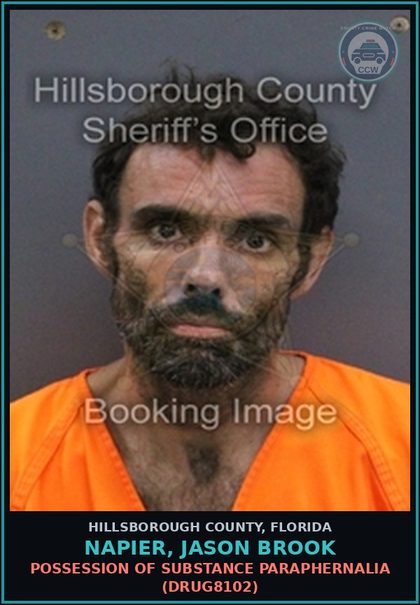 CCW arrest card for NAPIER, JASON BROOK in Hillsborough County: POSSESSION OF DRUG PARAPHERNALIA (DRUG8102)