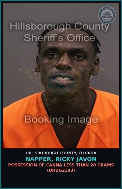 CCW arrest card for NAPPER, RICKY JAVON in Hillsborough County: POSSESSION OF Canna LESS THAN 20 GRAMS (DRUG2103)