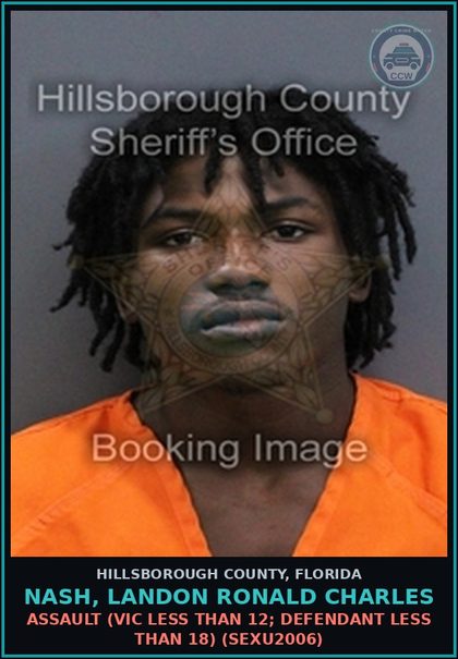 CCW arrest card for NASH, LANDON RONALD CHARLES in Hillsborough County: s3xual BATTERY (VICTIM LESS THAN 12; DEFENDANT LESS THAN 18) (SEXU2006)