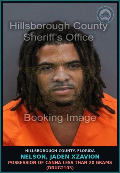 CCW arrest card for NELSON, JADEN XZAVION in Hillsborough County: RESISTING OFFICER WITHOUT VIOLENCE (COPS1001)