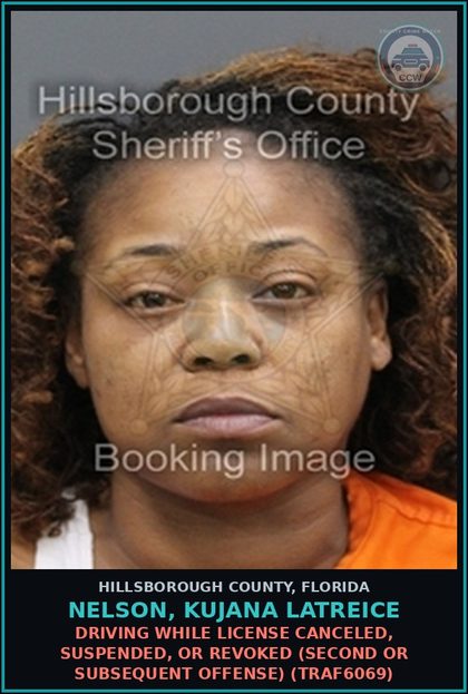 CCW arrest card for NELSON, KUJANA LATREICE in Hillsborough County: DRIVING WHILE LICENSE CANCELED, SUSPENDED, OR REVOKED (SECOND OR SUBSEQUENT OFFENSE) (TRAF6069)