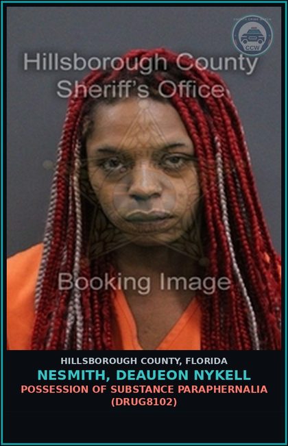 CCW arrest card for NESMITH, DEAUEON NYKELL in Hillsborough County: POSSESSION OF DRUG PARAPHERNALIA (DRUG8102)