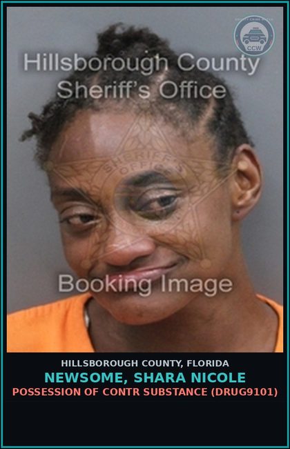 CCW arrest card for NEWSOME, SHARA NICOLE in Hillsborough County: POSSESSION OF contr substance (DRUG9101)