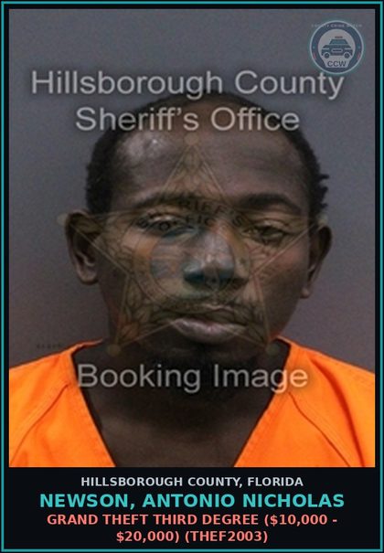 CCW arrest card for NEWSON, ANTONIO NICHOLAS in Hillsborough County: POSSESSION OF Canna LESS THAN 20 GRAMS (DRUG2103)