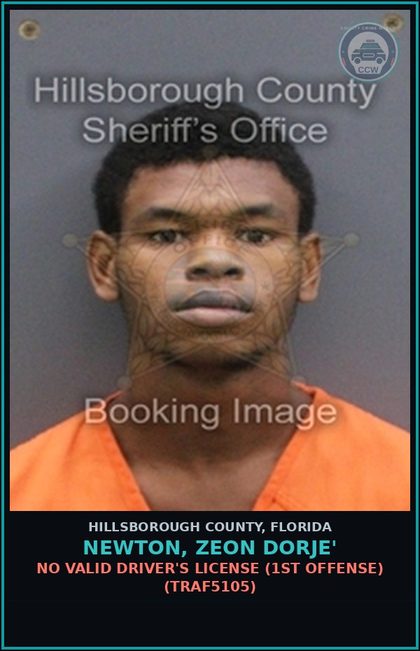 CCW arrest card for NEWTON, ZEON DORJE' in Hillsborough County: NO VALID DRIVER'S LICENSE (1ST OFFENSE) (TRAF5105)