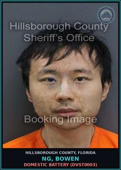 CCW arrest card for NG, BOWEN in Hillsborough County: DOMESTIC BATTERY (DVST0003)
