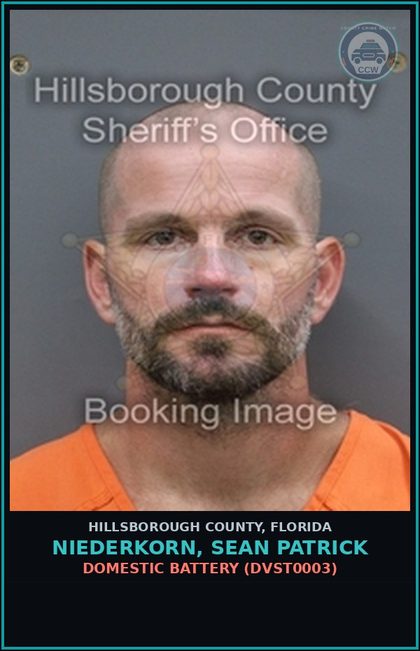 CCW arrest card for NIEDERKORN, SEAN PATRICK in Hillsborough County: DOMESTIC BATTERY (DVST0003)