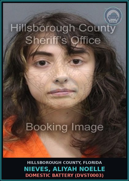 CCW arrest card for NIEVES, ALIYAH NOELLE in Hillsborough County: DOMESTIC BATTERY (DVST0003)