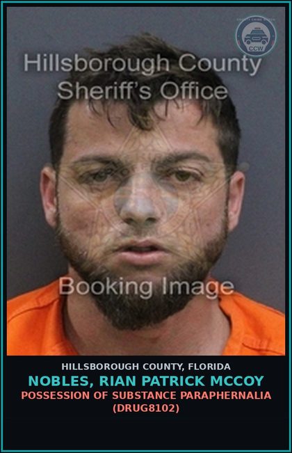 CCW arrest card for NOBLES, RIAN PATRICK MCCOY in Hillsborough County: DRIVING UNDER THE INFLUENCE (TRAF1012)