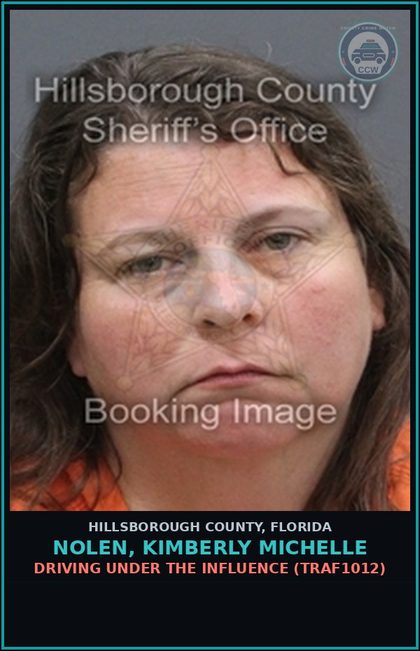 CCW arrest card for NOLEN, KIMBERLY MICHELLE in Hillsborough County: DRIVING UNDER THE INFLUENCE (TRAF1012)