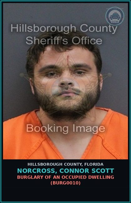 CCW arrest card for NORCROSS, CONNOR SCOTT in Hillsborough County: BURGLARY OF AN OCCUPIED DWELLING (BURG0010)