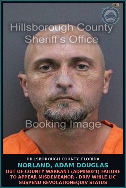 CCW arrest card for NORLAND, ADAM DOUGLAS in Hillsborough County: OUT OF COUNTY WARRANT (ADMIN021) FAILURE TO APPEAR MISDEMEANOR - DRIV WHILE LIC SUSPEND REVOCATIONEQUIV STATUS