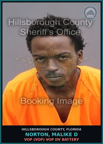 CCW arrest card for NORTON, MALIKE D in Hillsborough County: VOP (VOP) VOP DV BATTERY
