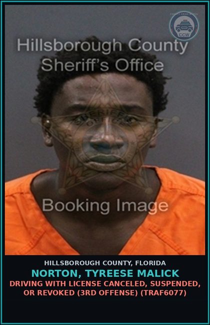 CCW arrest card for NORTON, TYREESE MALICK in Hillsborough County: DRIVING WITH LICENSE CANCELED, SUSPENDED, OR REVOKED (3RD OFFENSE) (TRAF6077)