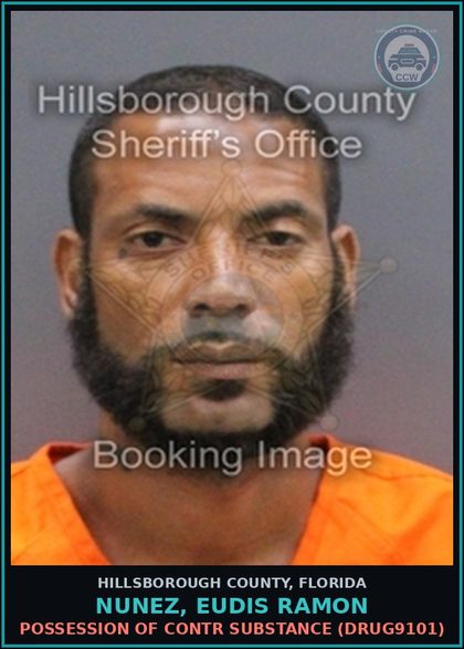 CCW arrest card for NUNEZ, EUDIS RAMON in Hillsborough County: POSSESSION OF contr substance (DRUG9101)
