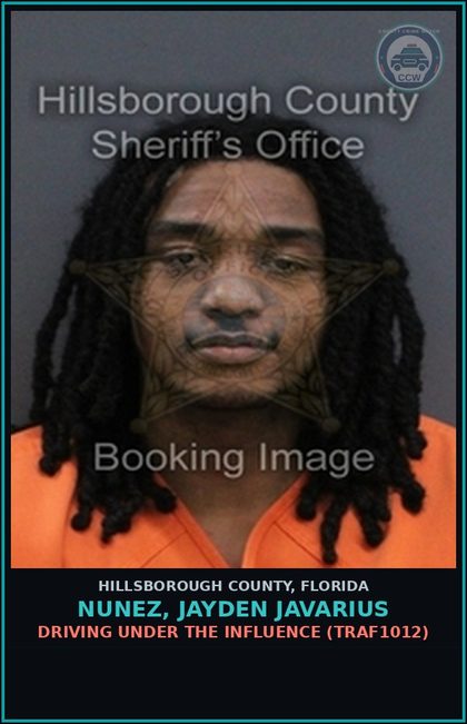 CCW arrest card for NUNEZ, JAYDEN JAVARIUS in Hillsborough County: DRIVING UNDER THE INFLUENCE (TRAF1012)