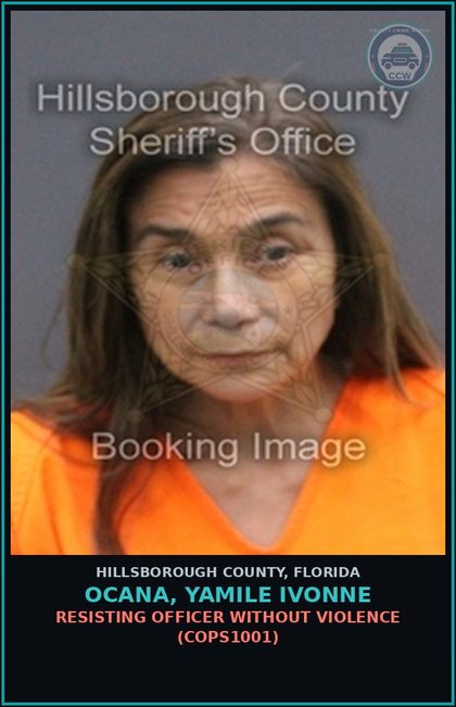 CCW arrest card for OCANA, YAMILE IVONNE in Hillsborough County: HCORD 4-120(D) - PUBLIC CONSUMPTION OF ALCOHOL (HCOR1034)